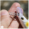 Seadra Speed Lure Clips