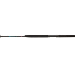Penn Wrath ii Boat rods