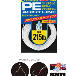 Owner PE Assist Line Owner PE Assist Line