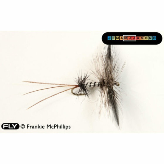 Frankie Mcphillips Trout Fly Selection