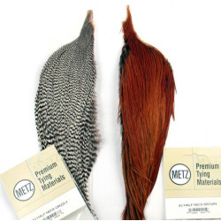 Metz Half Neck Grade 3