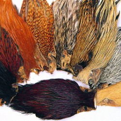 Veniard Indian Cock Capes