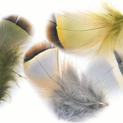 Veniard French Partridge Hackles 2g  Veniard French Partridge Hackles 2g