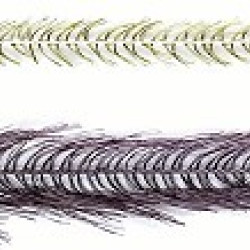 Veniard TRI-Lobal Hackle Small