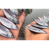 Little Jack Forma Saltwater Spoon 28g