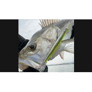 Little Jack Sayoris 135mm