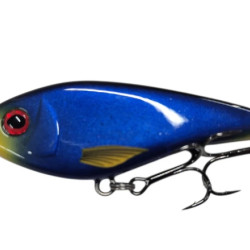 Westin Swim 6.5cm Suspending Signature Colours