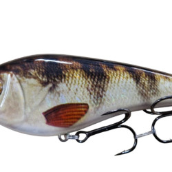 Westin Swim 13.5cm Suspending Signature Colours