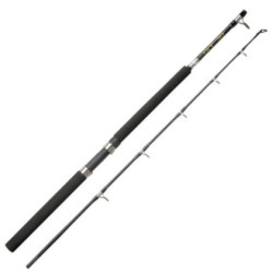 Abu Garcia GT Trolling Rod