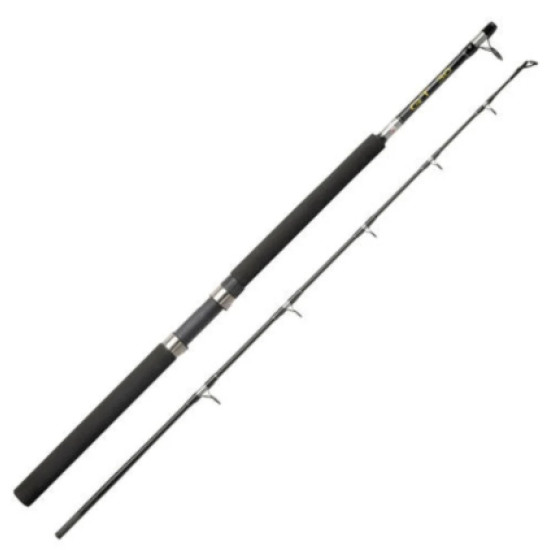 Abu Garcia GT Trolling Rod