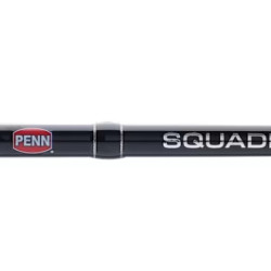 Penn Squadron iv Boat Rod
