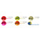 Turkana Casting Ball Plastic Coated Weights 2 pack