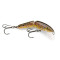 Rapala Jointed Minnow 7cm