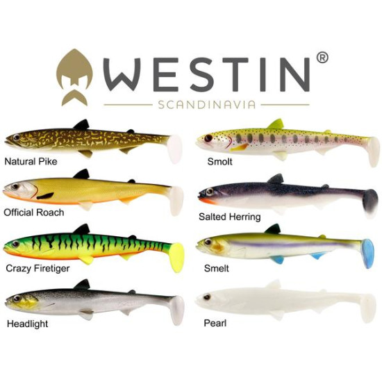 Westin Hypoteez ST (25cm - 110g)