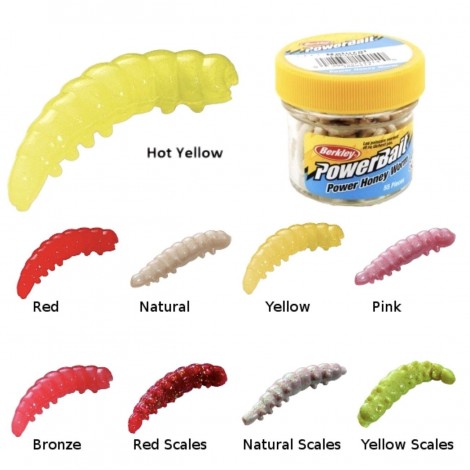 Berkley PowerBait Power Worms - 7 Inch Scented Soft Plastic Fishing Worms For Bass & Panfish (Black)